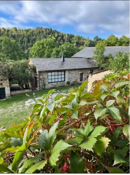 Le Chateau Brangoly (Adults Only) Enveitg ภายนอก รูปภาพ